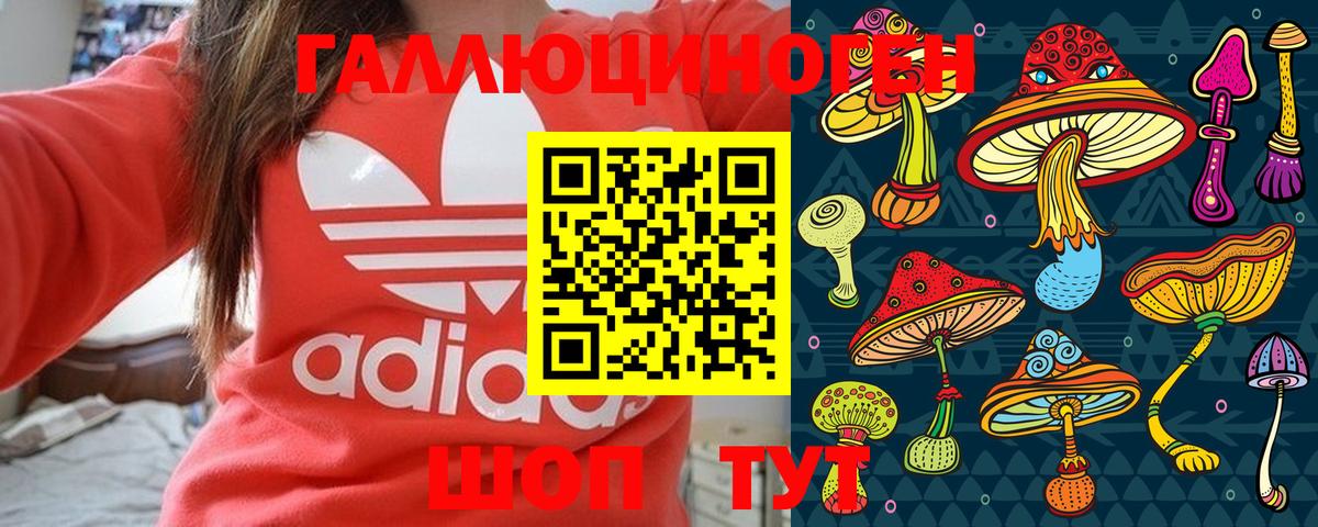 Галлюциногенные грибы Psilocybine cubensis Ухта